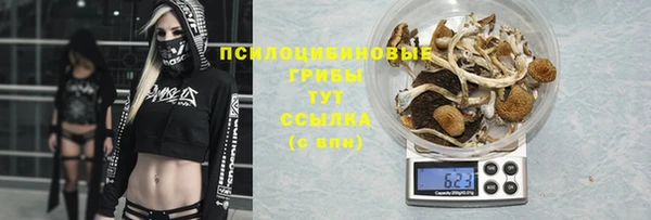 герыч Алексеевка