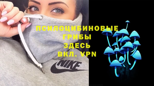 гашик Алзамай