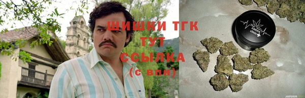 гашик Алзамай