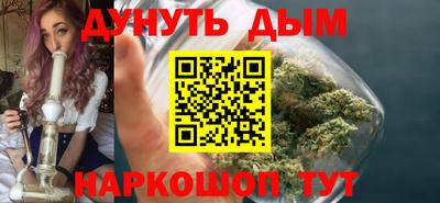 гидра Новозыбков