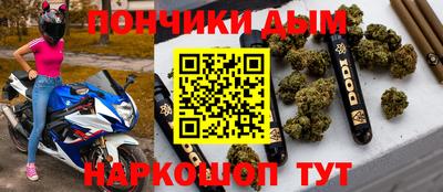 гидра Новозыбков