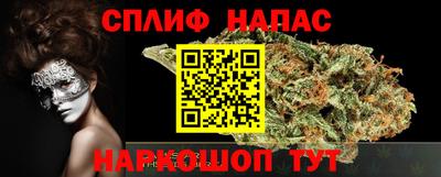 гидра Новозыбков