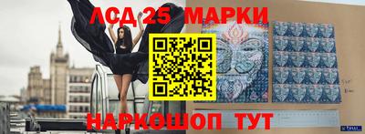 гидра Новозыбков