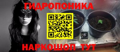 кокаин Новодвинск
