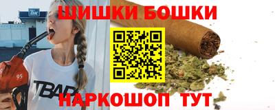 гидра Новозыбков