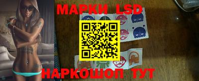 гидра Новозыбков