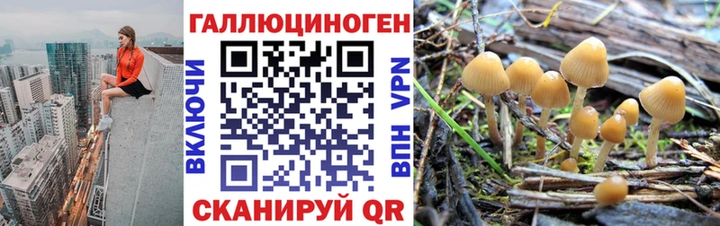 купить закладку  Троицк  Псилоцибиновые грибы Magic Shrooms 