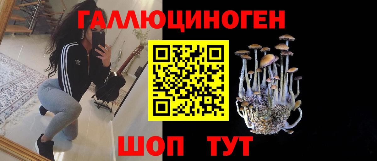 Троицк  Галлюциногенные грибы прущие грибы  Псилоцибиновые грибы Cubensis  Вход с VPN 